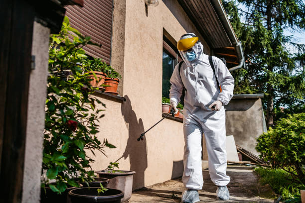 Best Flea Control Services  in Kirkwood, MO