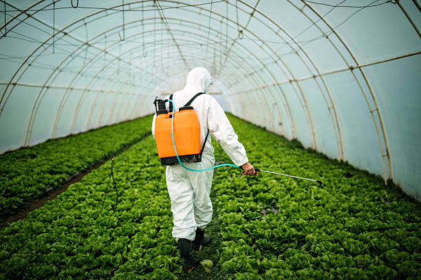 Best Pest Control for Homes  in Kirkwood, MO