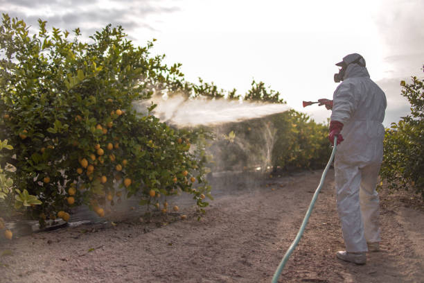 Best Mosquito Control Services  in Kirkwood, MO
