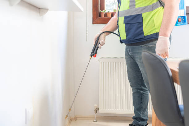 Best Cockroach Control Services  in Kirkwood, MO