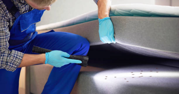 Pest Control Cost in Kirkwood, MO