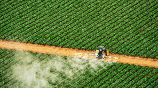 Best Pest Removal Services  in Kirkwood, MO