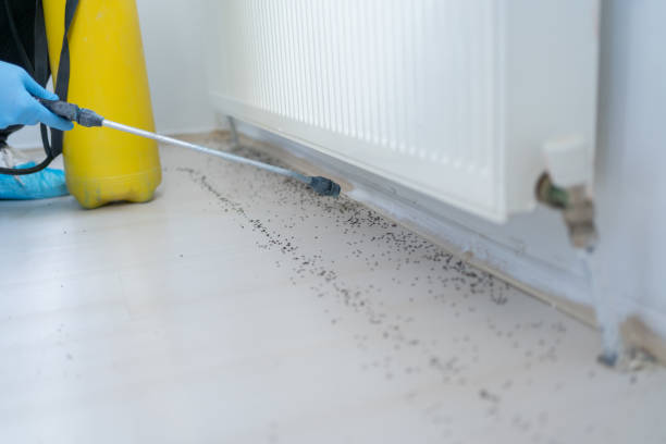 Best Commercial Pest Control Services  in Kirkwood, MO