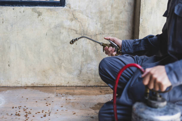 Pest Prevention Services in Kirkwood, MO